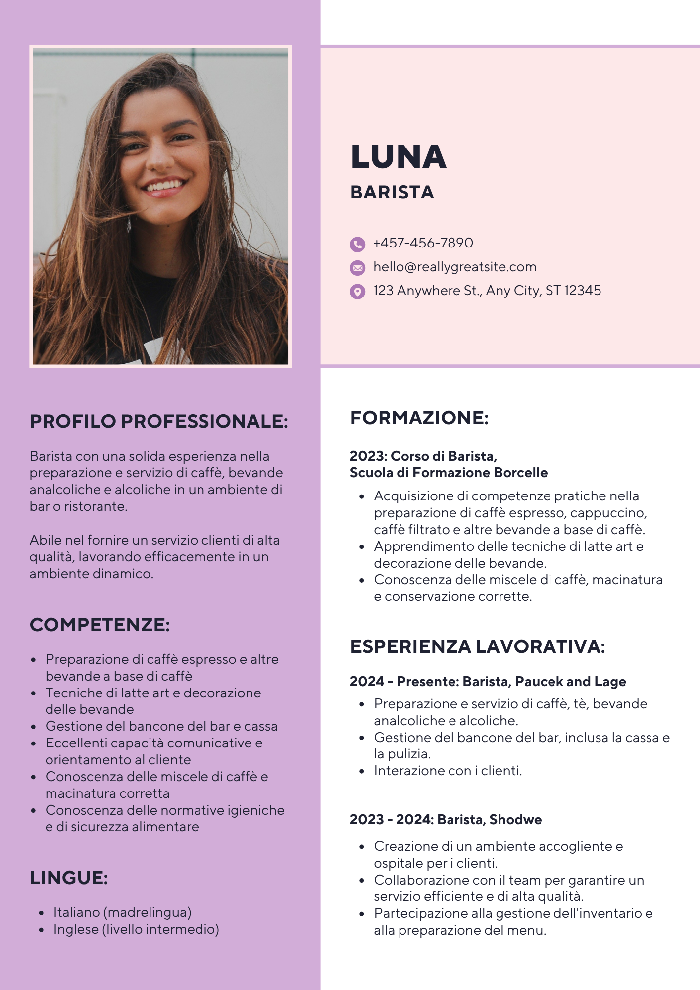 CV Lusso Template 1